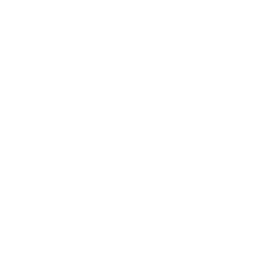 Naked Salsa Logo